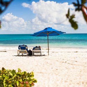 Galerie De La Diapositive